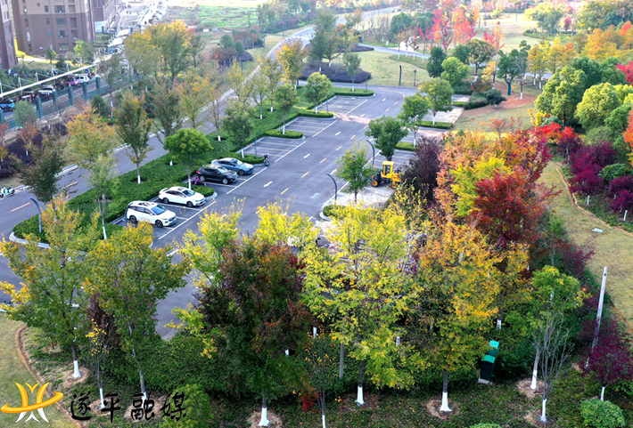 生態(tài)停車場.png