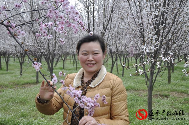 遂平：春天百花開 游客賞花來(lái)