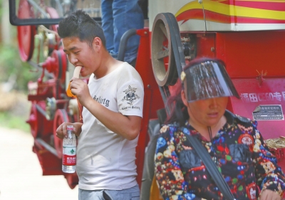 迎烈日、睡麥地 現(xiàn)代“麥客”淘金路